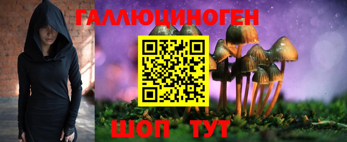 Псилоцибиновые грибы Cubensis  Вход с VPN  Миллерово 